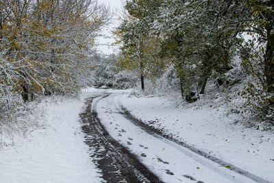 Snow covered road amidst trees during winter