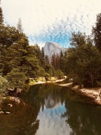 Reflection of trees in lake