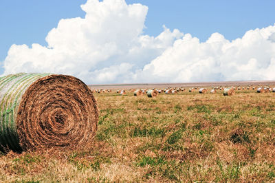 Hay bales on field against sky