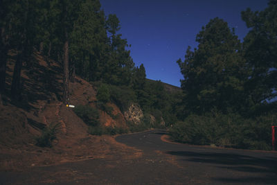 Road amidst trees against sky at night