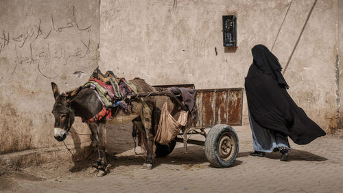 People riding horse