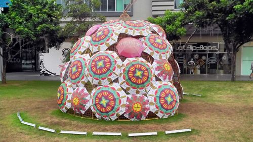 Close up of tree trunk