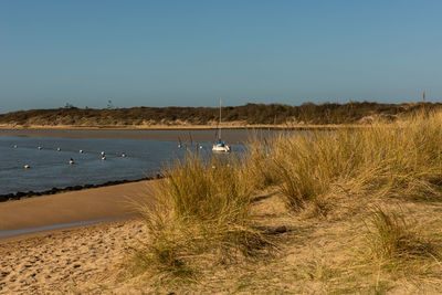 Scenic view of sea against clear sky