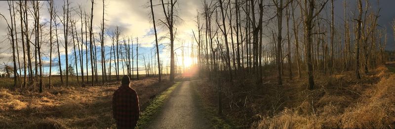 Rear view of man in forest