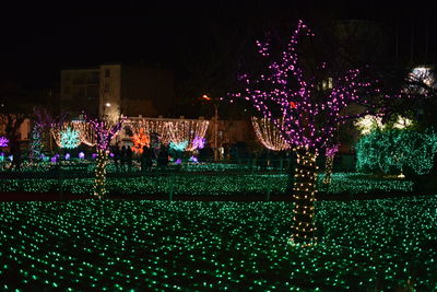 Illuminated christmas tree at night