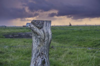 Close-up of wooden post on field against sky