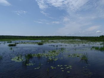 Scenic view of lake against sky