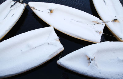 Close-up view of umbrella