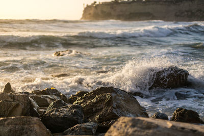 Scenic view of sea waves