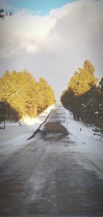 Road amidst trees against sky during winter