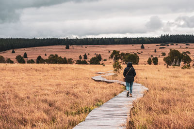 Landscape in the high fens nature park in the eifel, belgium. hike in the nature park.