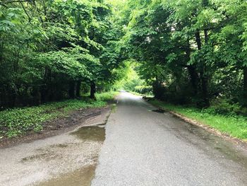 Empty road along trees