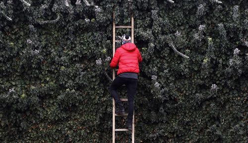 Rear view of man in warm clothing moving up ladder