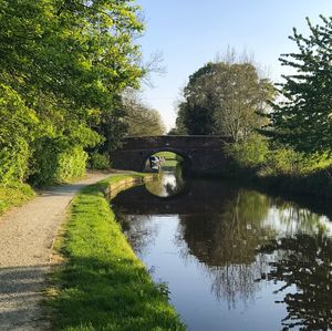 Bridge over stream in park