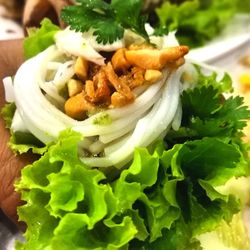 Close-up of salad in plate