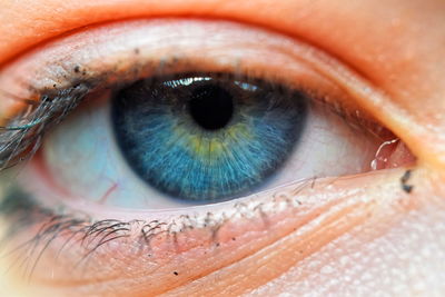 Extreme close-up of human eye