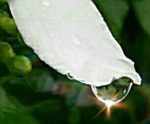 Drop photography