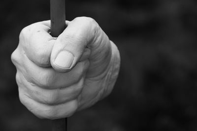 Close-up of hand holding leaf