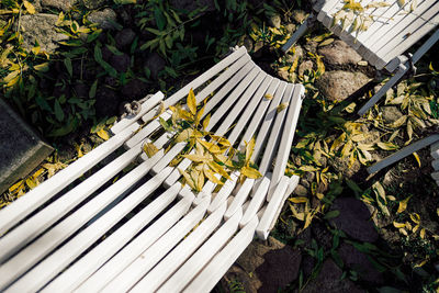 Close-up of wooden fence