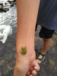 Low section of man legs in water