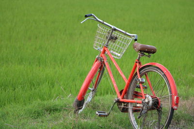 Bicycle on field