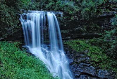 View of waterfall in forest