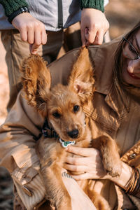 Care dogs ears, clean puppy ears. pet care advice for autumn. happy family walking with cocker