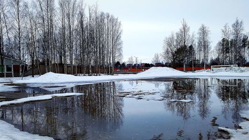 Frozen trees against sky during winter