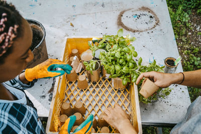 Young male and female environmentalists arranging plants in crate at garden