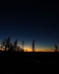 Silhouette of trees at sunset