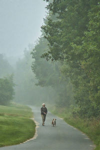 People riding horse on road