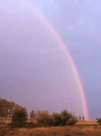 Scenic view of rainbow over trees on field against sky