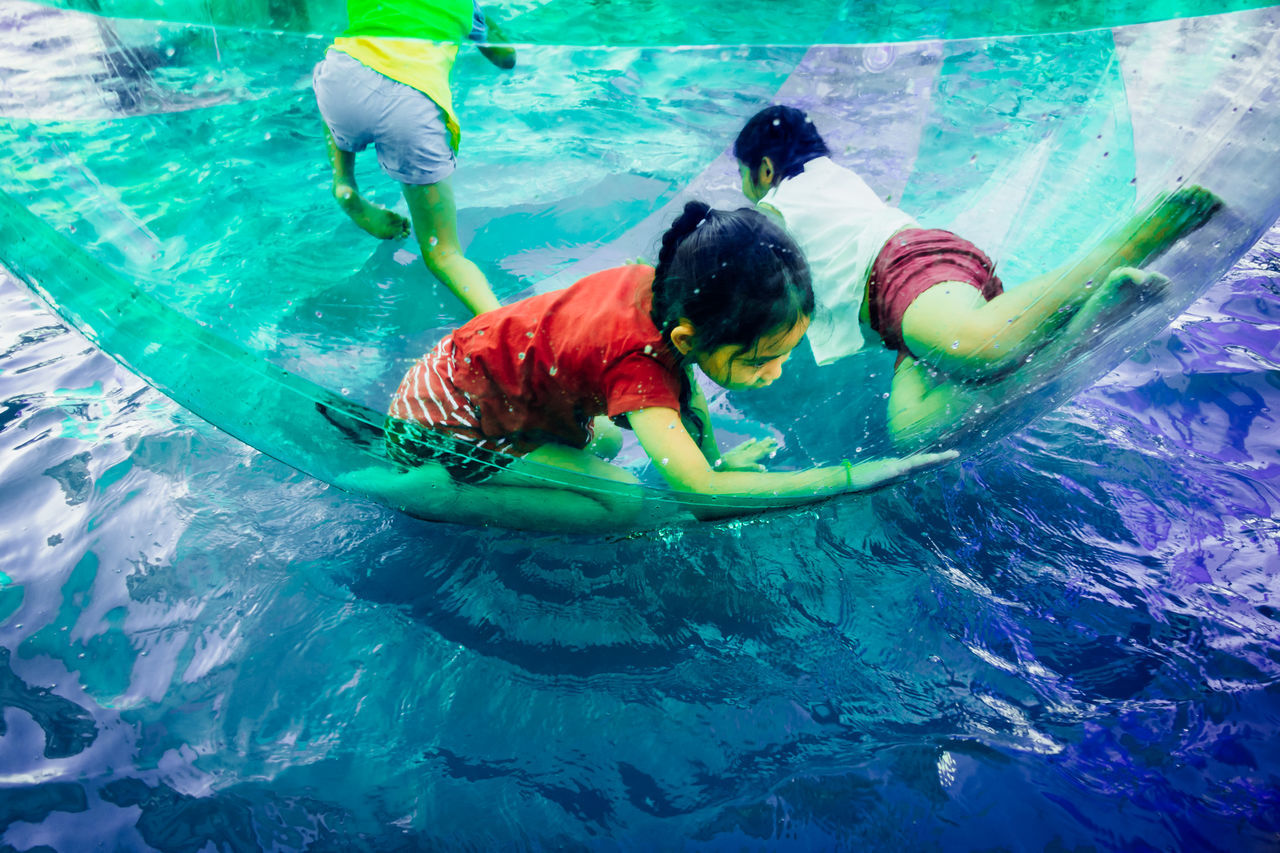 water, swimming, high angle view, lifestyles, leisure activity, full length, swimming pool, men, fish, underwater, multi colored, blue, indoors, animal themes, fun, childhood, day