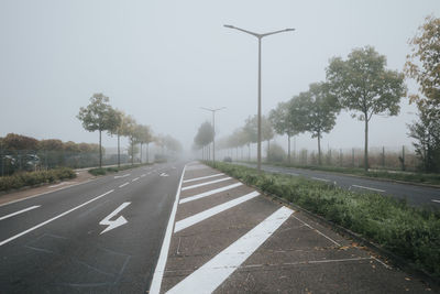 Roadway limit line on empty road on a misty autumn morning