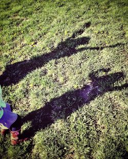 grass