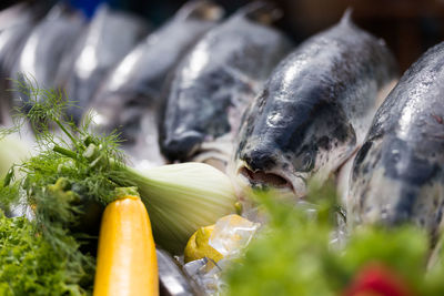 Close-up of vegetables for sale in market