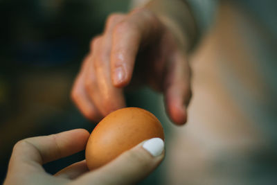 Cropped image of person giving brown egg to friend
