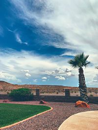 Palm trees and buildings against sky