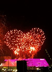Low angle view of firework display against sky at night