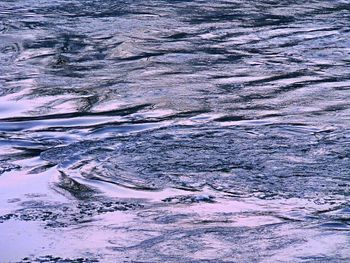 Reflection of trees in water