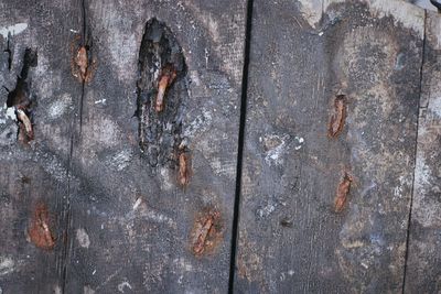 Full frame shot of rusty metal wall