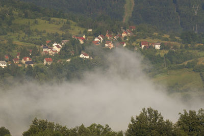 High angle view of trees on land against mountains