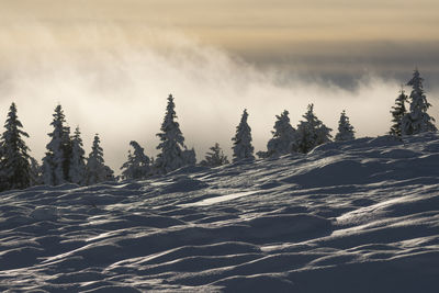 Scenic view of snow covered land against sky