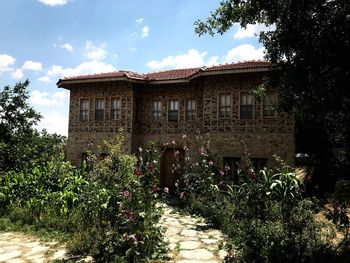 Plants and building in park against sky