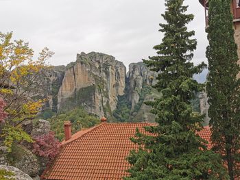 Trees and plants growing on rocks by buildings against sky