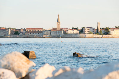 Ducks swimming in river by temple against clear sky