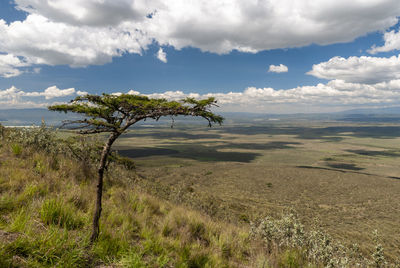 Scenic view of land against sky