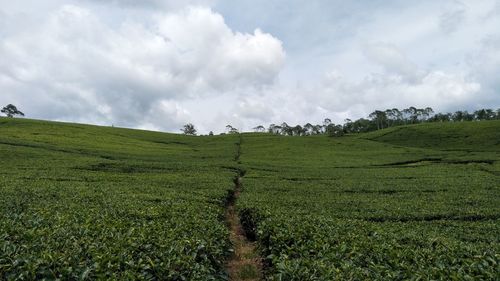 Panoramic view of landscape against sky