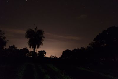 Silhouette trees on field against sky at night