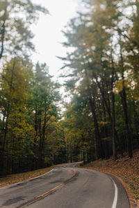 Empty road along trees in forest